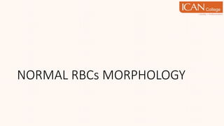 NORMAL RBCs MORPHOLOGY
 