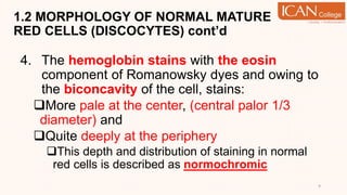 1.2 MORPHOLOGY OF NORMAL MATURE
RED CELLS (DISCOCYTES) cont’d
4. The hemoglobin stains with the eosin
component of Romanowsky dyes and owing to
the biconcavity of the cell, stains:
More pale at the center, (central palor 1/3
diameter) and
Quite deeply at the periphery
This depth and distribution of staining in normal
red cells is described as normochromic
9
 