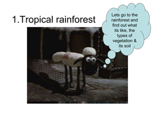 Lets go to the rainforest and find out what its like, the types of vegetation & its soil 1.Tropical rainforest 