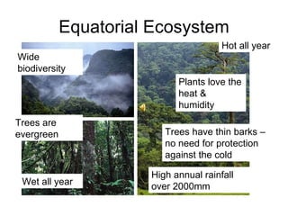 Equatorial Ecosystem Hot all year Wet all year High annual rainfall over 2000mm Wide biodiversity Plants love the heat & humidity Trees are evergreen Trees have thin barks – no need for protection against the cold 