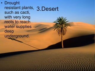 3.Desert Drought resistant plants, such as cacti, with very long roots to reach water supplies deep underground. 