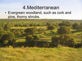 4.Mediterranean Evergreen woodland, such as cork and pine, thorny shrubs. 