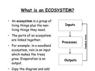 What is an ECOSYSTEM? An  ecosystem  is a group of living things plus the non-living things they need. The parts of an ecosystem are linked together. For example: in a woodland ecosystem, rain is an input which makes the trees grow. Evaporation is an output. Copy the diagram and add examples to each box. 