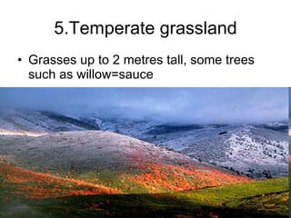5.Temperate grassland Grasses up to 2 metres tall, some trees such as willow=sauce 
