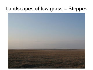 Landscapes of low grass = Steppes 