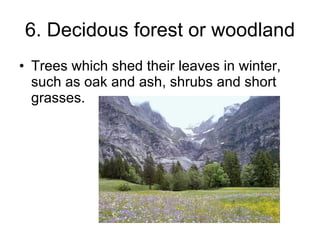 6. Decidous forest or woodland Trees which shed their leaves in winter, such as oak and ash, shrubs and short grasses. 