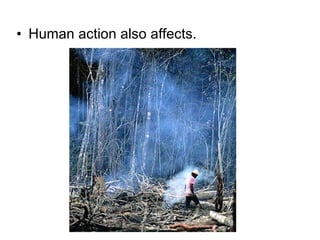 Human action also affects. 