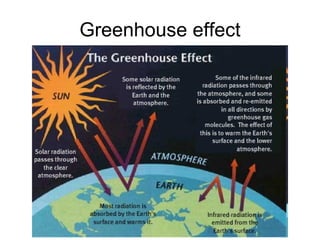 Greenhouse effect 