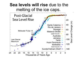 Sea levels will rise  due to the melting of the ice caps.  