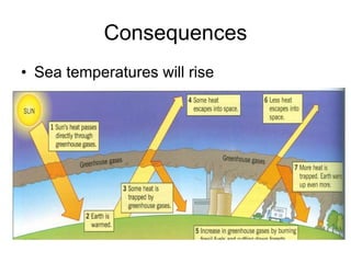 Consequences Sea temperatures will rise 