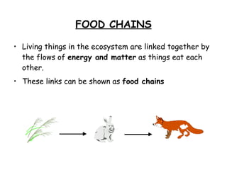 FOOD CHAINS Living things in the ecosystem are linked together by the flows of  energy and matter  as things eat each other. These links can be shown as  food chains 