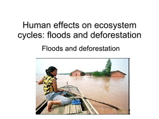 Human effects on ecosystem cycles: floods and deforestation Floods and deforestation 