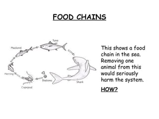 FOOD CHAINS This shows a food chain in the sea. Removing one animal from this would seriously harm the system.  HOW? 