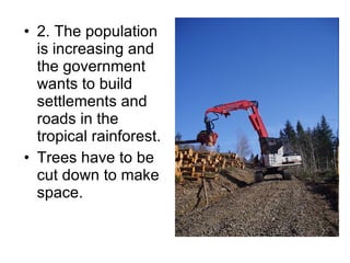 2.  The population is increasing and the government wants to build settlements and roads in the tropical rainforest.  Trees have to be cut down to make space. 
