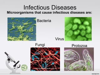 Infectious Diseases
Microorganisms that cause infectious diseases are:
Bacteria
Virus
Fungi Protozoa
 