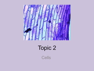 Topic 2
Cells
 