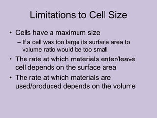Topic 2: Cells | PPT