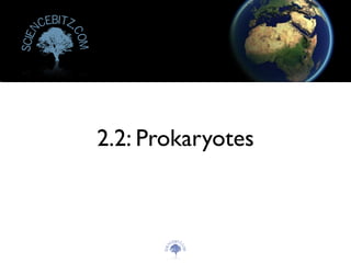 2.2: Prokaryotes
Scien
cebitz.
com
Scien
cebitz.
com
 