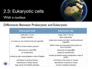 With a nucleus
Scien
cebitz.
com
Differences Between Prokaryotic and Eukaryotic
2.3: Eukaryotic cells
Prokaryotic Cells Eukaryotic cells
small cells (< 5 µm) larger cells (> 10 µm)
always unicellular often multicellular
no nucleus or any membrane-bound organelles
always have nucleus and other membrane-bound
organelles
DNA is circular, without proteins
DNA is linear and associated with proteins to
form chromatin
ribosomes are small (70S) ribosomes are large (80S)
no mitochondria always has mitochondria
motility by rigid rotating ﬂagellum made of ﬂagellin
motility by ﬂexible waving undulipodium, made of
tubulin
cell division is by binary ﬁssion cell division is by mitosis or meiosis
reproduction is always asexual reproduction is asexual or sexual
huge variety of metabolic pathways common metabolic pathways
 