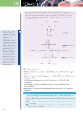 Section summary
• Carbon atoms form four covalent bonds, leading to an incredible variety of organic
molecules.
• Organic compounds within living organisms include carbohydrates, lipids, proteins,
and nucleic acids.
• All of the enzyme-catalysed reactions in living things are collectively called
metabolism.
• Anabolism is the portion of metabolism where monomers are formed into
macromolecules.
• Catabolism is the portion of metabolism where macromolecules are formed into
monomers.
Exercises
1 One way to check whether organic molecules are drawn correctly is to make a sketch based on the
information given and then count the number of atoms of each element using a given or known
formula. Draw each of the molecules described below and then check each against the formula given
in the answers.
(a) Sketch a single carbon atom, add an alcohol group, fill in with hydrogen atoms. Give the formula
of the molecule.
(b) Sketch a single carbon atom, add an amine group, add a carboxyl group, fill in with hydrogens.
Give the formula of the molecule.
Here are the completed molecular diagrams of another three molecules that you need to learn to
draw from memory. Get out some paper and a pencil and practise drawing the two glucose molecules
shown on the previous page and the three molecules shown below. Don’t practise drawing them in
their entirety, but use the step-by-step process as shown above. Do this until you are conﬁdent that you
know each one very well.
C
C
H
H H
C5H10O5
C
C
HHO
C
OH OH
O
HH
OH
CHO C
O H
H H n
C C
H
H
Where n = any number between 3 and 29 (11–23 are the most common)
N
H
H C
R
H
C OH
O
Where R = 1 of 20 variable groups
Figure 2.7 D-ribose.
Figure 2.8 A generalized
fatty acid.
Figure 2.9 A generalized
amino acid.
Trying to draw complex
organic molecules by
somehow memorizing
the entire intact structure
is frustrating and
impossible for most
people. Instead, always
use the sequence of steps
shown on the previous
page, of laying out the
carbon backbone, adding
the functional groups,
and then ﬁlling in with
hydrogen(s) as needed.
This will not only help
you learn the molecules
you need to know, but
it will also enable you to
look at large, complex
biochemical molecules
from a new and more
useful perspective.
62
Molecular biology02
M02_BIO_SB_IBDIP_9045_U02.indd 62 26/09/2014 12:04
 