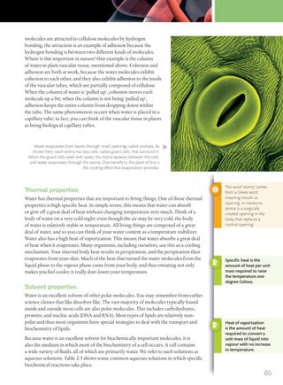 molecules are attracted to cellulose molecules by hydrogen
bonding, the attraction is an example of adhesion because the
hydrogen bonding is between two different kinds of molecules.
Where is this important in nature? One example is the column
of water in plant vascular tissue, mentioned above. Cohesion and
adhesion are both at work, because the water molecules exhibit
cohesion to each other, and they also exhibit adhesion to the inside
of the vascular tubes, which are partially composed of cellulose.
When the column of water is ‘pulled up’, cohesion moves each
molecule up a bit; when the column is not being ‘pulled up’,
adhesion keeps the entire column from dropping down within
the tube. The same phenomenon occurs when water is placed in a
capillary tube; in fact, you can think of the vascular tissue in plants
as being biological capillary tubes.
Water evaporates from leaves through small openings called stomata. As
shown here, each stoma has two cells, called guard cells, that surround it.
When the guard cells swell with water, the stoma appears between the cells,
and water evaporates through the stoma. One beneﬁt to the plant of this is
the cooling effect that evaporation provides.
The word ‘stoma’ comes
from a Greek word
meaning mouth or
opening. In medicine,
stoma is a surgically
created opening in the
body that replaces a
normal opening.
Speciﬁc heat is the
amount of heat per unit
mass required to raise
the temperature one
degree Celsius.
Heat of vaporization
is the amount of heat
required to convert a
unit mass of liquid into
vapour with no increase
in temperature.
Thermal properties
Water has thermal properties that are important to living things. One of those thermal
properties is high specific heat. In simple terms, this means that water can absorb
or give off a great deal of heat without changing temperature very much. Think of a
body of water on a very cold night: even though the air may be very cold, the body
of water is relatively stable in temperature. All living things are composed of a great
deal of water, and so you can think of your water content as a temperature stabilizer.
Water also has a high heat of vaporization. This means that water absorbs a great deal
of heat when it evaporates. Many organisms, including ourselves, use this as a cooling
mechanism. Your internal body heat results in perspiration, and the perspiration then
evaporates from your skin. Much of the heat that turned the water molecules from the
liquid phase to the vapour phase came from your body, and thus sweating not only
makes you feel cooler, it really does lower your temperature.
Solvent properties
Water is an excellent solvent of other polar molecules. You may remember from earlier
science classes that like dissolves like. The vast majority of molecules typically found
inside and outside most cells are also polar molecules. This includes carbohydrates,
proteins, and nucleic acids (DNA and RNA). Most types of lipids are relatively non-
polar and thus most organisms have special strategies to deal with the transport and
biochemistry of lipids.
Because water is an excellent solvent for biochemically important molecules, it is
also the medium in which most of the biochemistry of a cell occurs. A cell contains
a wide variety of fluids, all of which are primarily water. We refer to such solutions as
aqueous solutions. Table 2.3 shows some common aqueous solutions in which specific
biochemical reactions take place.
65
M02_BIO_SB_IBDIP_9045_U02.indd 65 26/09/2014 12:04
 
