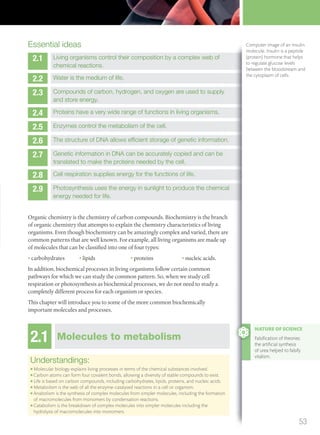 Essential ideas
2.1 Living organisms control their composition by a complex web of
chemical reactions.
2.2 Water is the medium of life.
2.3 Compounds of carbon, hydrogen, and oxygen are used to supply
and store energy.
2.4 Proteins have a very wide range of functions in living organisms.
2.5 Enzymes control the metabolism of the cell.
2.6 The structure of DNA allows efﬁcient storage of genetic information.
2.7 Genetic information in DNA can be accurately copied and can be
translated to make the proteins needed by the cell.
2.8 Cell respiration supplies energy for the functions of life.
2.9 Photosynthesis uses the energy in sunlight to produce the chemical
energy needed for life.
Compounds of carbon, hydrogen, and oxygen are used to supply
The structure of DNA allows efﬁcient storage of genetic information.
Genetic information in DNA can be accurately copied and can be
Photosynthesis uses the energy in sunlight to produce the chemical
Organic chemistry is the chemistry of carbon compounds. Biochemistry is the branch
of organic chemistry that attempts to explain the chemistry characteristics of living
organisms. Even though biochemistry can be amazingly complex and varied, there are
common patterns that are well known. For example, all living organisms are made up
of molecules that can be classified into one of four types:
• carbohydrates • lipids • proteins • nucleic acids.
In addition, biochemical processes in living organisms follow certain common
pathways for which we can study the common pattern. So, when we study cell
respiration or photosynthesis as biochemical processes, we do not need to study a
completely different process for each organism or species.
This chapter will introduce you to some of the more common biochemically
important molecules and processes.
Computer image of an insulin
molecule. Insulin is a peptide
(protein) hormone that helps
to regulate glucose levels
between the bloodstream and
the cytoplasm of cells.
2.1 Molecules to metabolism
Understandings:
● Molecular biology explains living processes in terms of the chemical substances involved.
● Carbon atoms can form four covalent bonds, allowing a diversity of stable compounds to exist.
● Life is based on carbon compounds, including carbohydrates, lipids, proteins, and nucleic acids.
● Metabolism is the web of all the enzyme-catalysed reactions in a cell or organism.
● Anabolism is the synthesis of complex molecules from simpler molecules, including the formation
of macromolecules from monomers by condensation reactions.
● Catabolism is the breakdown of complex molecules into simpler molecules including the
hydrolysis of macromolecules into monomers.
NATURE OF SCIENCE
Falsiﬁcation of theories:
the artiﬁcial synthesis
of urea helped to falsify
vitalism.
53
M02_BIO_SB_IBDIP_9045_U02.indd 53 26/09/2014 12:03
 