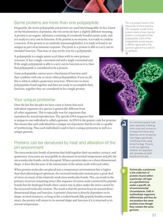 Some proteins are more than one polypeptide
Frequently, the terms polypeptide and protein are used interchangeably. In fact, based
on the biochemistry of proteins, the two terms do have a slightly different meaning.
A protein is an organic substance consisting of covalently bonded amino acids, and
it is ready to carry out its function. If the protein is an enzyme, it is ready to catalyse
a reaction. If the protein is an antibody (immunoglobulin), it is ready to bond to an
antigen as part of an immune response. The point is, a protein is able to carry out its
intended function. That may or may not be true for a polypeptide.
A polypeptide is a single amino acid chain with its own primary
structure. It has a single c-terminal end and a single n-terminal end.
If the single polypeptide is able to carry out its function as it is, then
that polypeptide is considered to be a protein.
Some polypeptides cannot serve a biochemical function until
they combine with one or more other polypeptide(s). If you recall,
this is what is called a quaternary structure. When two or more
polypeptides bond together and then are ready to accomplish their
function, together they are considered to be a single protein.
Your unique proteome
Over the last few decades we have come to know that each
individual organism of a species is genetically different from
all other organisms. This is especially true for organisms that
reproduce by sexual reproduction. The specific DNA sequence that
is unique to one individual is called a genome. As DNA is the genetic code for proteins,
this means that each individual has a unique set of proteins that he or she is capable
of synthesizing. Thus each individual is said to have a unique proteome as well as a
unique genome.
Proteins can be denatured by heat and alteration of the
pH environment
The intra-molecular bonds of proteins that hold together their secondary, tertiary, and
quaternary structures are susceptible to alterations in normal temperature and pH; the
intra-molecular bonds can be disrupted. When a protein takes on a three-dimensional
shape, it does this because of the interactions of the amino acids with each other.
When protein molecules are placed into a temperature environment that is higher
than their physiological optimum, the increased molecular motion puts a great deal
of stress on many of the relatively weak intra-molecular bonds. This can result in the
primary structure remaining intact (the sequence of amino acids connected by peptide
bonds) but the hydrogen bonds often cannot stay in place under the stress caused by
the increased molecular motion. The result is that the protein loses its normal three-
dimensional shape and function. A protein’s function is directly dependent on its
shape; in most instances, as long as the covalent bonds (like peptide bonds) remain
intact, the protein will return to its normal shape and function if it is returned to its
normal temperature.
For centuries people have
been selectively breeding
both crops and animals to
increase their food value.
Recently, some companies
have begun genetically
modifying foods using
biotechnology. The jury
is still out regarding
whether this approach
will ultimately be both
beneﬁcial and safe.
Technically, a proteome
is the collection of
proteins found within
a particular cell type
at a speciﬁed time
under a speciﬁc set
of environmental
circumstances. Cells in
multicellular organisms
differentiate and thus do
not produce the same
proteins even though
they contain the same
genome.
This is a protein found in the
ribosomes of some bacteria.
The computer model of the
protein clearly shows that the
protein is composed of two
polypeptides. Each of the
polypeptides would require
a different gene within the
bacteria’s genome to code for
its synthesis.
81
M02_BIO_SB_IBDIP_9045_U02.indd 81 26/09/2014 12:04
 