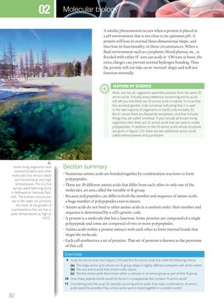 A similar phenomenon occurs when a protein is placed in
a pH environment that is not close to its optimum pH. A
protein will lose its normal three-dimensional shape, and
thus lose its functionality, in these circumstances. When a
fluid environment such as cytoplasm, blood plasma, etc., is
flooded with either H+
ions (an acid) or –
OH ions (a base), the
extra charges can prevent normal hydrogen bonding. Thus
the protein will not take on its ‘normal’ shape and will not
function normally.
Section summary
• Numerous amino acids are bonded together by condensation reactions to form
polypeptides.
• There are 20 different amino acids that differ from each other in only one of the
molecules, an area called the variable or R-group.
• Because polypeptides can differ in both the number and sequence of amino acids,
a huge number of polypeptides exist in nature.
• Amino acids do not bind to other amino acids in a random order: their number and
sequence is determined by a cell’s genetic code.
• A protein is a molecule that has a function. Some proteins are composed of a single
polypeptide and some are composed of two or more polypeptides.
• Amino acids within a protein interact with each other to form internal bonds that
shape the molecule.
• Each cell synthesizes a set of proteins. That set of proteins is known as the proteome
of that cell.
Exercises
9 Study the amino acid chart (Figure 2.20) and find the amino acids that meet the following criteria.
(a) The single amino acid whose non-R-group shape is slightly different compared with all the others.
(b) The two amino acids that contain sulfur atoms.
(c) The five amino acids that contain either a carboxyl or an amine group as part of their R-group.
10 How many peptide bonds would be found in a polypeptide that contains 76 amino acids?
11 Considering only the usual 20 naturally occurring amino acids, how many combinations of amino
acids would be possible if four amino acids were to bond together in a random order?
NATURE OF SCIENCE
Most, but not all, organisms assemble proteins from the same 20
amino acids. Virtually every reference concerning amino acids
will tell you that there are 20 amino acids in nature. It is true that
the universal genetic code (universal indicating that it is used
in the vast majority of organisms on Earth) only encodes 20.
But in nature there are frequently exceptions, and that includes
things that are called ‘universal’. If you include all known living
organisms then there are 22 amino acids that are used to create
polypeptides. In addition to the 20 amino acids whose structures
are given in Figure 2.20, there are two additional amino acids
called selenocysteine and pyrrolysine.
Some living organisms have
evolved proteins and other
molecules that remain stable
and functional at very high
temperatures. This is a hot
spring called Morning Glory
in Yellowstone National Park,
USA. The brilliant colours you
see in the water are primarily
the result of the growth of
cyanobacteria that can live in
water temperatures as high as
165°C.
82
Molecular biology02
M02_BIO_SB_IBDIP_9045_U02.indd 82 26/09/2014 12:04
 