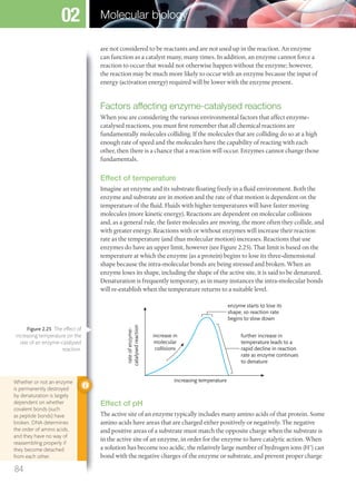 are not considered to be reactants and are not used up in the reaction. An enzyme
can function as a catalyst many, many times. In addition, an enzyme cannot force a
reaction to occur that would not otherwise happen without the enzyme; however,
the reaction may be much more likely to occur with an enzyme because the input of
energy (activation energy) required will be lower with the enzyme present.
Factors affecting enzyme-catalysed reactions
When you are considering the various environmental factors that affect enzyme-
catalysed reactions, you must first remember that all chemical reactions are
fundamentally molecules colliding. If the molecules that are colliding do so at a high
enough rate of speed and the molecules have the capability of reacting with each
other, then there is a chance that a reaction will occur. Enzymes cannot change those
fundamentals.
Effect of temperature
Imagine an enzyme and its substrate floating freely in a fluid environment. Both the
enzyme and substrate are in motion and the rate of that motion is dependent on the
temperature of the fluid. Fluids with higher temperatures will have faster moving
molecules (more kinetic energy). Reactions are dependent on molecular collisions
and, as a general rule, the faster molecules are moving, the more often they collide, and
with greater energy. Reactions with or without enzymes will increase their reaction
rate as the temperature (and thus molecular motion) increases. Reactions that use
enzymes do have an upper limit, however (see Figure 2.25). That limit is based on the
temperature at which the enzyme (as a protein) begins to lose its three-dimensional
shape because the intra-molecular bonds are being stressed and broken. When an
enzyme loses its shape, including the shape of the active site, it is said to be denatured.
Denaturation is frequently temporary, as in many instances the intra-molecular bonds
will re-establish when the temperature returns to a suitable level.
increasing temperature
increase in
molecular
collisions
enzyme starts to lose its
shape, so reaction rate
begins to slow down
rateofenzyme-
catalysedreaction
further increase in
temperature leads to a
rapid decline in reaction
rate as enzyme continues
to denature
Effect of pH
The active site of an enzyme typically includes many amino acids of that protein. Some
amino acids have areas that are charged either positively or negatively. The negative
and positive areas of a substrate must match the opposite charge when the substrate is
in the active site of an enzyme, in order for the enzyme to have catalytic action. When
a solution has become too acidic, the relatively large number of hydrogen ions (H+
) can
bond with the negative charges of the enzyme or substrate, and prevent proper charge
Whether or not an enzyme
is permanently destroyed
by denaturation is largely
dependent on whether
covalent bonds (such
as peptide bonds) have
broken. DNA determines
the order of amino acids,
and they have no way of
reassembling properly if
they become detached
from each other.
Figure 2.25 The effect of
increasing temperature on the
rate of an enzyme-catalysed
reaction.
84
Molecular biology02
M02_BIO_SB_IBDIP_9045_U02.indd 84 26/09/2014 12:05
 