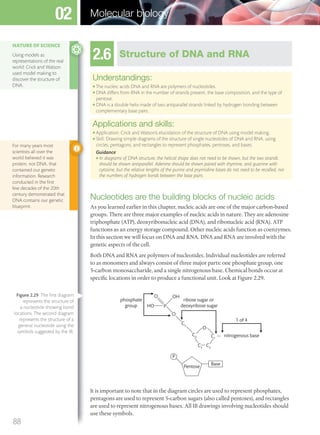 2.6 Structure of DNA and RNA
Understandings:
● The nucleic acids DNA and RNA are polymers of nucleotides.
● DNA differs from RNA in the number of strands present, the base composition, and the type of
pentose.
● DNA is a double helix made of two antiparallel strands linked by hydrogen bonding between
complementary base pairs.
Applications and skills:
● Application: Crick and Watson’s elucidation of the structure of DNA using model making.
● Skill: Drawing simple diagrams of the structure of single nucleotides of DNA and RNA, using
circles, pentagons, and rectangles to represent phosphates, pentoses, and bases.
Guidance
● In diagrams of DNA structure, the helical shape does not need to be shown, but the two strands
should be shown antiparallel. Adenine should be shown paired with thymine, and guanine with
cytosine, but the relative lengths of the purine and pryimidine bases do not need to be recalled, nor
the numbers of hydrogen bonds between the base pairs.
Nucleotides are the building blocks of nucleic acids
As you learned earlier in this chapter, nucleic acids are one of the major carbon-based
groups. There are three major examples of nucleic acids in nature. They are adenosine
triphosphate (ATP), deoxyribonucleic acid (DNA), and ribonucleic acid (RNA). ATP
functions as an energy storage compound. Other nucleic acids function as coenzymes.
In this section we will focus on DNA and RNA. DNA and RNA are involved with the
genetic aspects of the cell.
Both DNA and RNA are polymers of nucleotides. Individual nucleotides are referred
to as monomers and always consist of three major parts: one phosphate group, one
5-carbon monosaccharide, and a single nitrogenous base. Chemical bonds occur at
specific locations in order to produce a functional unit. Look at Figure 2.29.
phosphate
group
O
O
O
PHO
OH
C5
C4 C1
nitrogenous base
ribose sugar or
deoxyribose sugar
1 of 4
C3
C2
P
Pentose
Base
It is important to note that in the diagram circles are used to represent phosphates,
pentagons are used to represent 5-carbon sugars (also called pentoses), and rectangles
are used to represent nitrogenous bases. All IB drawings involving nucleotides should
use these symbols.
For many years most
scientists all over the
world believed it was
protein, not DNA, that
contained our genetic
information. Research
conducted in the ﬁrst
few decades of the 20th
century demonstrated that
DNA contains our genetic
blueprint.
NATURE OF SCIENCE
Using models as
representations of the real
world: Crick and Watson
used model making to
discover the structure of
DNA.
Figure 2.29 The ﬁrst diagram
represents the structure of
a nucleotide showing bond
locations. The second diagram
represents the structure of a
general nucleotide using the
symbols suggested by the IB.
88
Molecular biology02
M02_BIO_SB_IBDIP_9045_U02.indd 88 26/09/2014 12:05
 