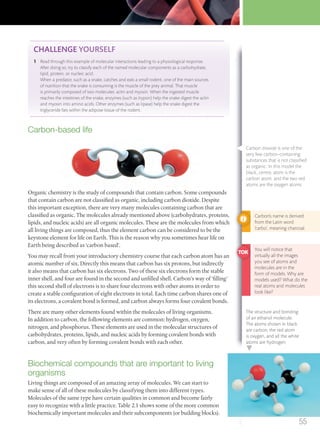 The structure and bonding
of an ethanol molecule.
The atoms shown in black
are carbon, the red atom
is oxygen, and all the white
atoms are hydrogen.
Carbon-based life
Organic chemistry is the study of compounds that contain carbon. Some compounds
that contain carbon are not classified as organic, including carbon dioxide. Despite
this important exception, there are very many molecules containing carbon that are
classified as organic. The molecules already mentioned above (carbohydrates, proteins,
lipids, and nucleic acids) are all organic molecules. These are the molecules from which
all living things are composed, thus the element carbon can be considered to be the
keystone element for life on Earth. This is the reason why you sometimes hear life on
Earth being described as ‘carbon based’.
You may recall from your introductory chemistry course that each carbon atom has an
atomic number of six. Directly this means that carbon has six protons, but indirectly
it also means that carbon has six electrons. Two of these six electrons form the stable
inner shell, and four are found in the second and unfilled shell. Carbon’s way of ‘filling’
this second shell of electrons is to share four electrons with other atoms in order to
create a stable configuration of eight electrons in total. Each time carbon shares one of
its electrons, a covalent bond is formed, and carbon always forms four covalent bonds.
There are many other elements found within the molecules of living organisms.
In addition to carbon, the following elements are common: hydrogen, oxygen,
nitrogen, and phosphorus. These elements are used in the molecular structures of
carbohydrates, proteins, lipids, and nucleic acids by forming covalent bonds with
carbon, and very often by forming covalent bonds with each other.
Biochemical compounds that are important to living
organisms
Living things are composed of an amazing array of molecules. We can start to
make sense of all of these molecules by classifying them into different types.
Molecules of the same type have certain qualities in common and become fairly
easy to recognize with a little practice. Table 2.1 shows some of the more common
biochemically important molecules and their subcomponents (or building blocks).
CHALLENGE YOURSELF
1 Read through this example of molecular interactions leading to a physiological response.
After doing so, try to classify each of the named molecular components as a carbohydrate,
lipid, protein, or nucleic acid.
When a predator, such as a snake, catches and eats a small rodent, one of the main sources
of nutrition that the snake is consuming is the muscle of the prey animal. That muscle
is primarily composed of two molecules: actin and myosin. When the ingested muscle
reaches the intestines of the snake, enzymes (such as trypsin) help the snake digest the actin
and myosin into amino acids. Other enzymes (such as lipase) help the snake digest the
triglyceride fats within the adipose tissue of the rodent.
Carbon’s name is derived
from the Latin word
‘carbo’, meaning charcoal.
You will notice that
virtually all the images
you see of atoms and
molecules are in the
form of models. Why are
models used? What do the
real atoms and molecules
look like?
Carbon dioxide is one of the
very few carbon-containing
substances that is not classiﬁed
as organic. In this model the
black, centre, atom is the
carbon atom, and the two red
atoms are the oxygen atoms.
55
M02_BIO_SB_IBDIP_9045_U02.indd 55 26/09/2014 12:03
 