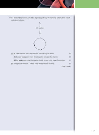 10 The diagram below shows part of the respiratory pathway.The number of carbon atoms in each
molecule is indicated.
C3
C2
C6
C5
C4
link reaction
(a) (i) Label pyruvate and acetyl coenzyme A on the diagram above. (1)
(ii) Indicate two places where decarboxylation occurs on the diagram. (1)
(iii) List one product other than carbon dioxide formed in this stage of respiration. (1)
(b) State precisely where in a cell this stage of respiration is occurring. (1)
(Total 4 marks)
117
M02_BIO_SB_IBDIP_9045_U02.indd 117 26/09/2014 12:06
 