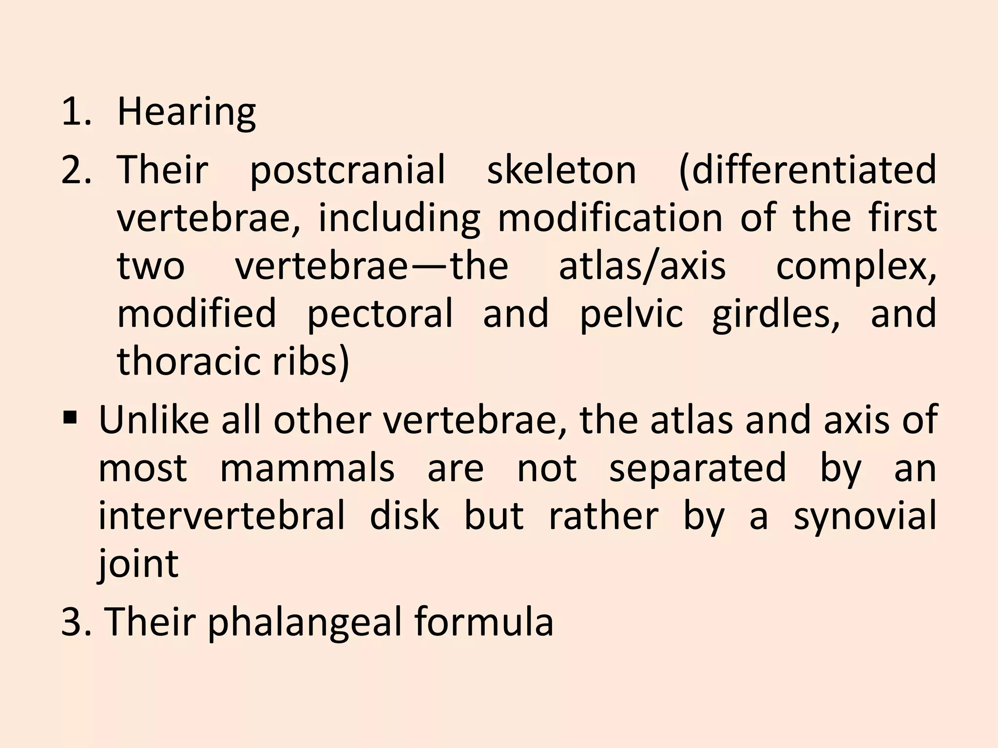 Origin and Evolution of Mammals.pptx