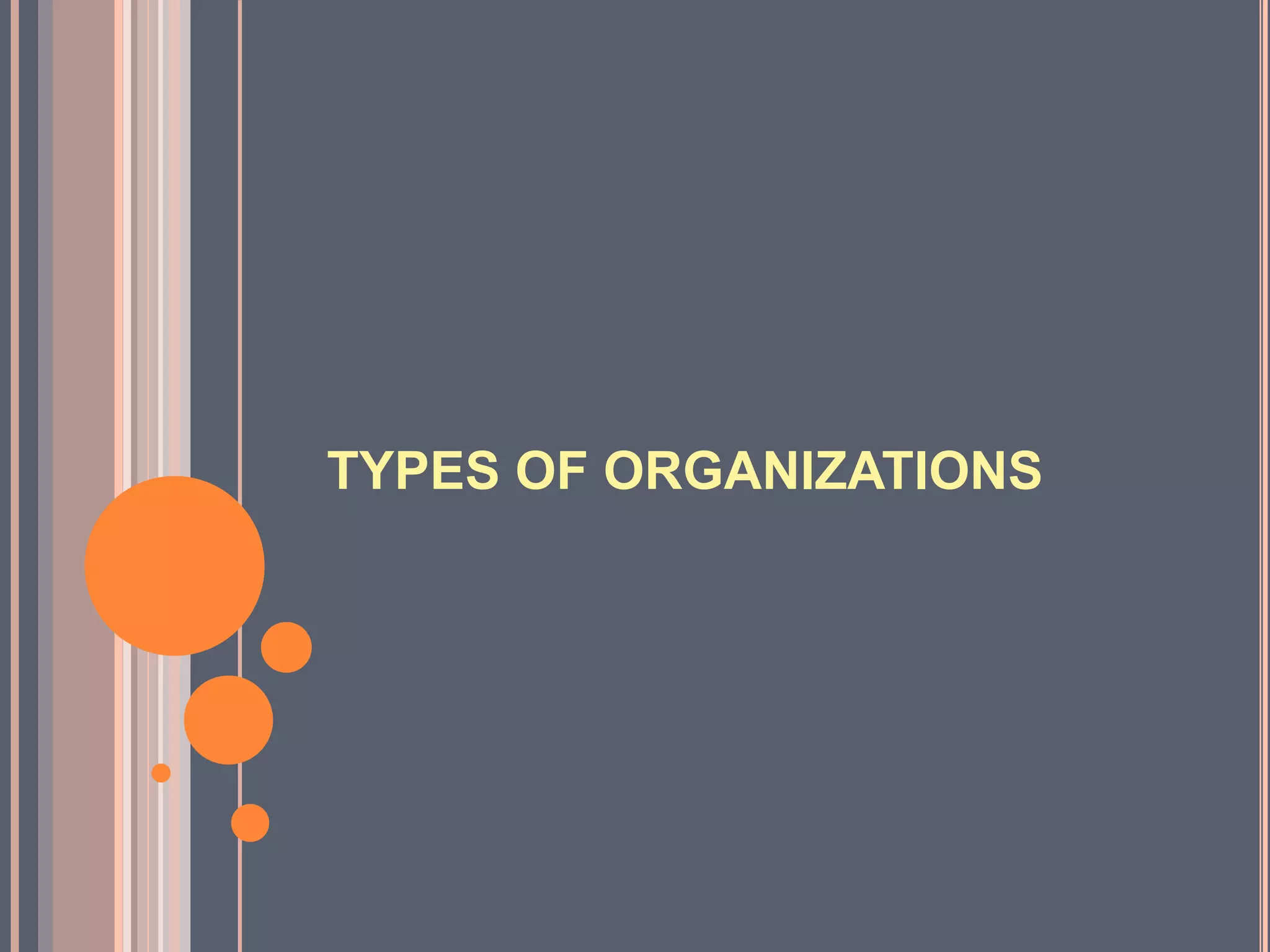 TYPES OF ORGANIZATIONS
 