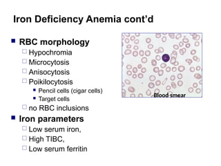 Iron Left In Rbc Hematology: Blood and Complete Blood Count | PPT