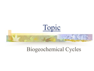 Topic
Biogeochemical Cycles
 