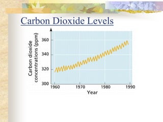 Carbon Dioxide Levels
 