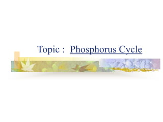 Topic : Phosphorus Cycle
 