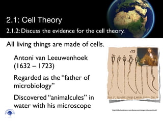 2.1.2:	

Discuss the evidence for the cell theory.
Antoni van Leeuwenhoek
(1632 – 1723)	

Regarded as the “father of
microbiology”	

Discovered “animalcules” in
water with his microscope
Scien
cebitz.
com
2.1: Cell Theory
All living things are made of cells.
http://oldschoolscience.wordpress.com/category/leeuwenhoek/
 