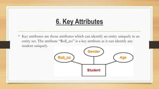 6. Key Attributes
• Key attributes are those attributes which can identify an entity uniquely in an
entity set. The attribute “Roll_no” is a key attribute as it can identify any
student uniquely.
 