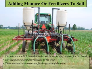 Adding Manure Or Fertilizers To Soil
• The substance which is added to the soil in the form of nutrient for the healthy gro
• Soil supplies mineral and nutrients to the crop.
• These nutrients are important for the growth of the plant.
 