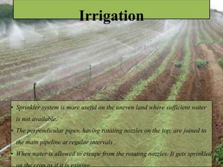 intervals . When water is allowed to escape from the rotating
Irrigation
• Sprinkler system is more useful on the uneven land where sufficient water
is not available.
• The perpendicular pipes, having rotating nozzles on the top, are joined to
the main pipeline at regular intervals .
• When water is allowed to escape from the rotating nozzles. It gets sprinkled
 