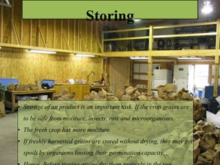 Storing
• Storage of an product is an important task. If the crop grains are
to be safe from moisture, insects, rats and microorganisms.
• The fresh crop has more moisture.
• If freshly harvested grains are stored without drying, they may get
spoilt by organisms loosing their germination capacity.
 
