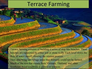 Terrace Farming
• Terrace farming consists of building a series of step like benches. These
benches are supported by either sod or stone walls. Each level slows the
flow of water runoff, slowing the erosion process.
• They also bring into tillage areas that formerly could not be farmed.
• Much of the rice that comes from Vietnam, Thailand, and other
Southeast Asian countries is grown on terraces.
 