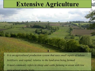 Extensive Agriculture
• It is an agricultural production system that uses small inputs of labour,
fertilizers, and capital, relative to the land area being farmed.
• It most commonly refers to sheep and cattle farming in areas with low
agricultural productivity
 