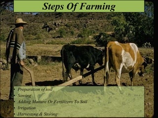 Steps Of Farming
• Preparation of soil
• Sowing
• Adding Manure Or Fertilizers To Soil
• Irrigation
• Harvesting & Storing
 