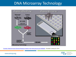 Personalized Medicine & Pharmacogenomics | PPT