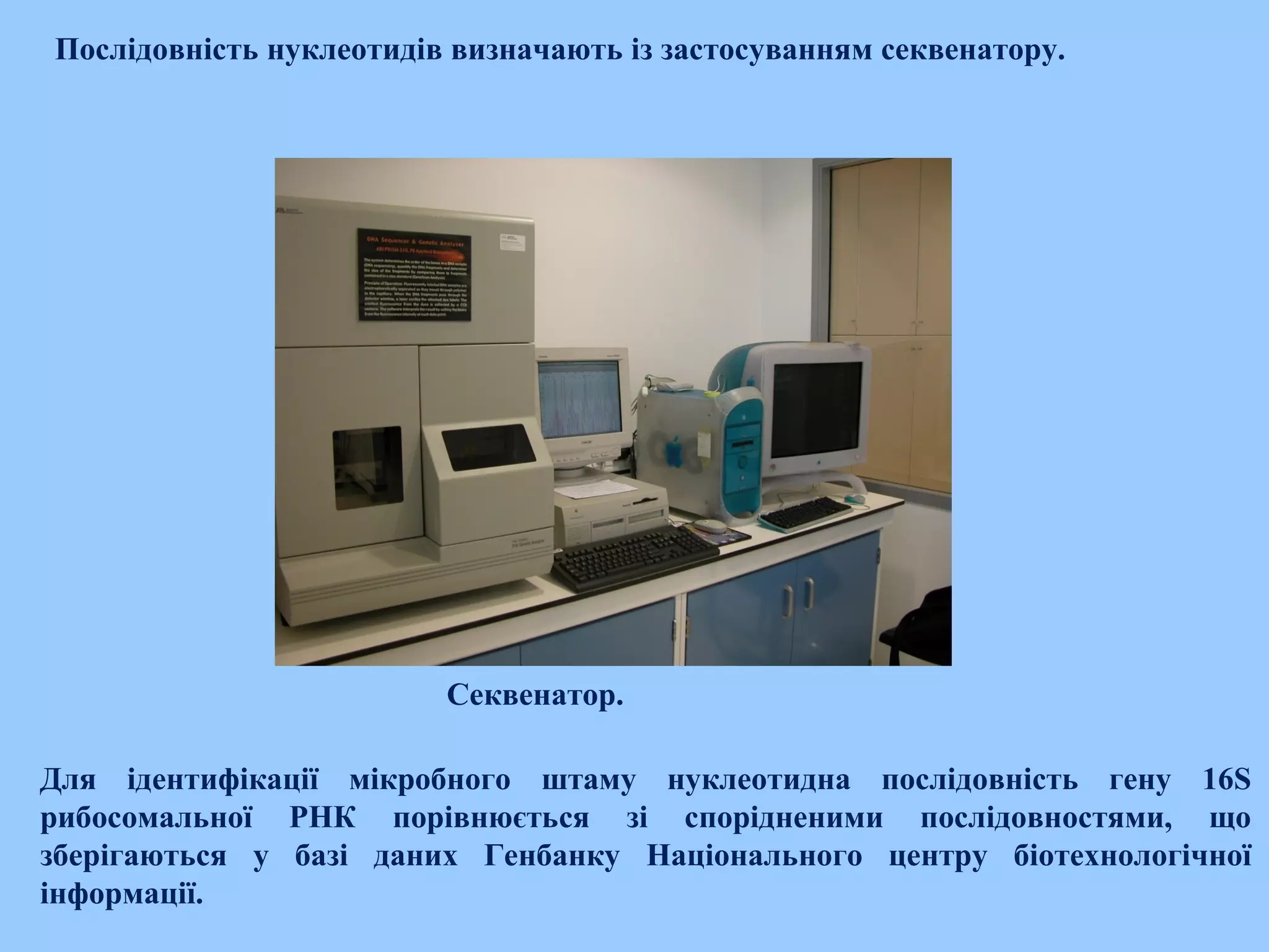 Послідовність нуклеотидів визначають із застосуванням секвенатору.
Cеквенатор.
Для ідентифікації мікробного штаму нуклеотидна послідовність гену 16S
рибосомальної РНК порівнюється зі спорідненими послідовностями, що
зберігаються у базі даних Генбанку Національного центру біотехнологічної
інформації.
 