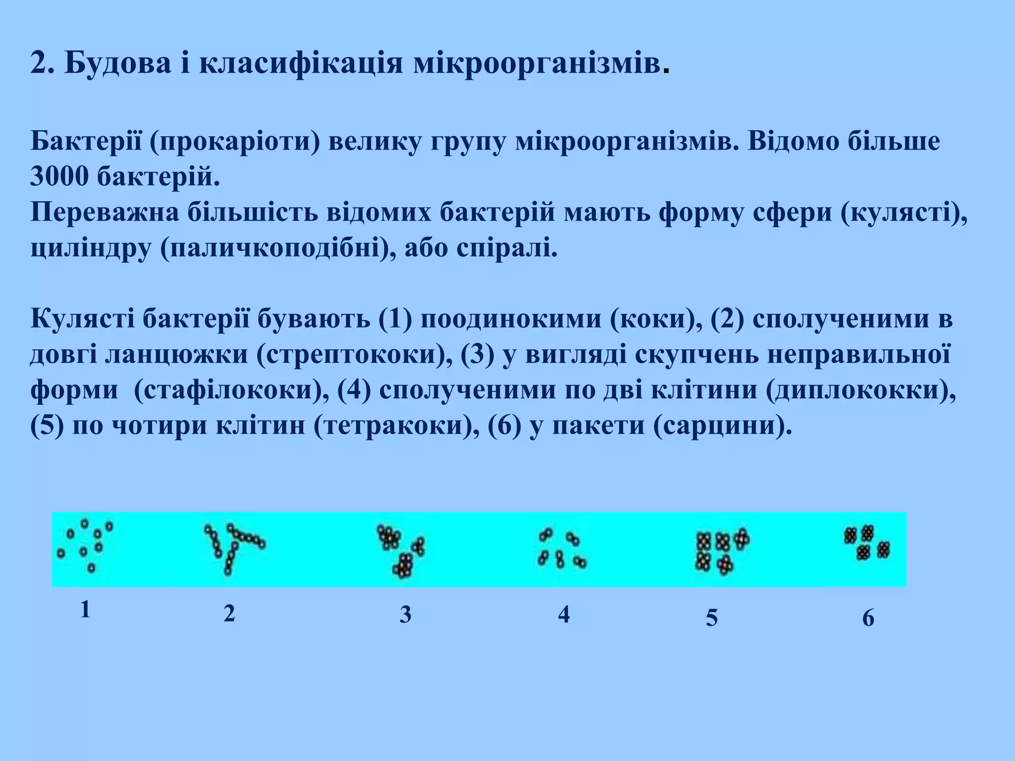 2. Будова і класифікація мікроорганізмів.
Бактерії (прокаріоти) велику групу мікроорганізмів. Відомо більше
3000 бактерій.
Переважна більшість відомих бактерій мають форму сфери (кулясті),
циліндру (паличкоподібні), або спіралі.
Кулясті бактерії бувають (1) поодинокими (коки), (2) сполученими в
довгі ланцюжки (стрептококи), (3) у вигляді скупчень неправильної
форми (стафілококи), (4) сполученими по дві клітини (диплококки),
(5) по чотири клітин (тетракоки), (6) у пакети (сарцини).
1 2 3 4 5 6
 