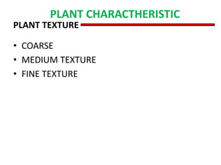 PLANT TEXTURE
• COARSE
• MEDIUM TEXTURE
• FINE TEXTURE
PLANT CHARACTHERISTIC
 